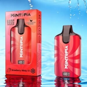 Mintopia 6000 Hits