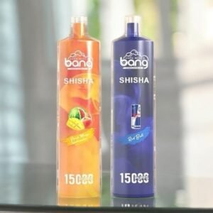 Bang Shisha 15000