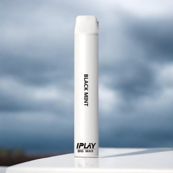IPlay Big Max 5000 Hits - Image 7